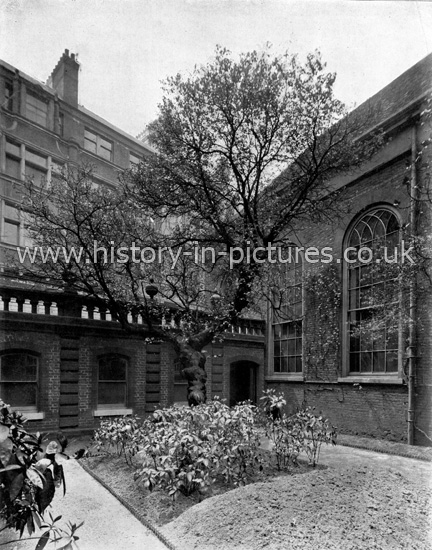 Girdlers Hall, showing The Mulberry Tree that escaped the Great Fire, Basinghall Street, London. c.1890's.